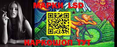 a pvp Новозыбков