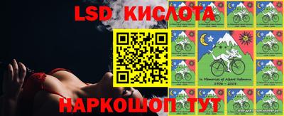 a pvp Новозыбков
