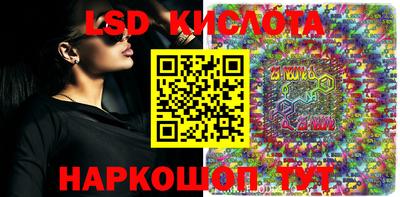 a pvp Новозыбков