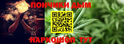 a pvp Новозыбков