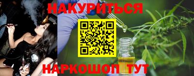 a pvp Новозыбков