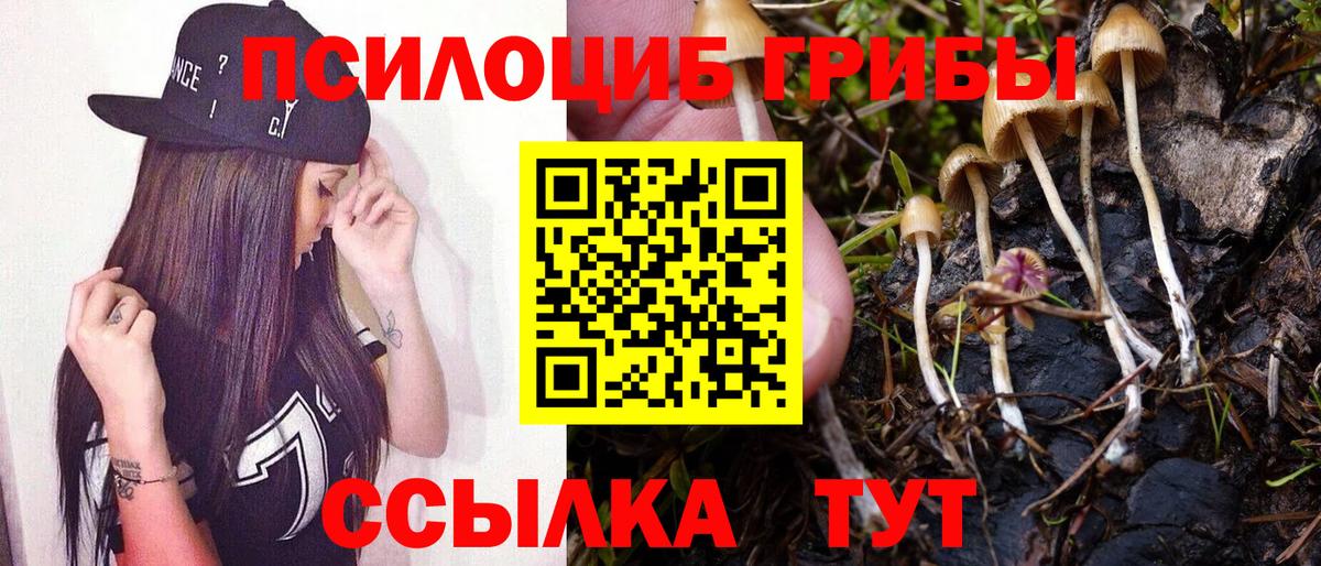 Галлюциногенные грибы прущие грибы Томск